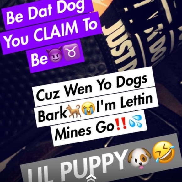 Meet your Posher, Landon - Picture 1 of 2